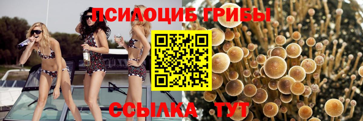 Нягань  Галлюциногенные грибы ЛСД  Вход с VPN  Псилоцибиновые грибы Magic Shrooms 